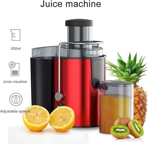 Stainless Steel Portable Fruit Juicers