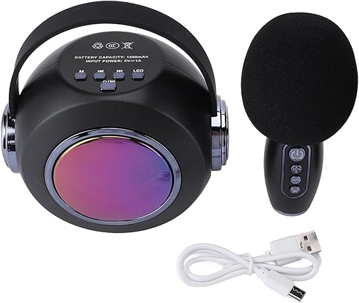 Wireless Karaoke Speaker