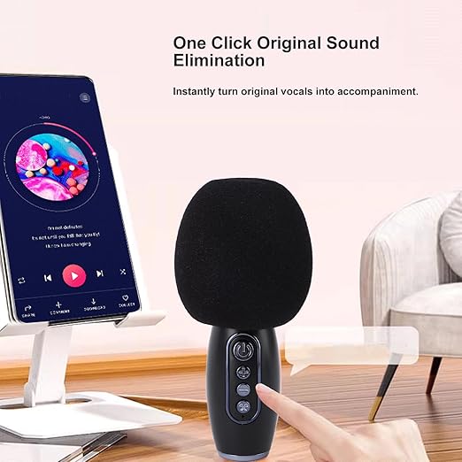 Wireless Karaoke Speaker